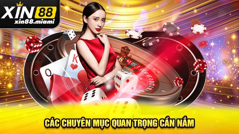 Các chuyên mục quan trọng cần nắm